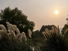 -长广溪湿地公园