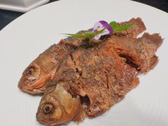 -大拙里·精致融合菜(沙湖桃源国际店)