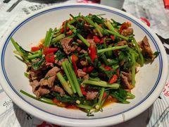 香菜炒牛肉-壹盏灯(蚂蚁工房店)