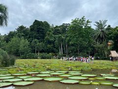 -中国科学院西双版纳热带植物园