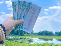 -荷塘月色湿地公园·向阳花洲
