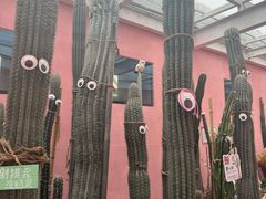 -正佳雨林生态植物园