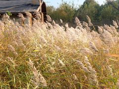 -清风小镇闯关东影视基地