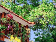 -深圳仙湖植物园