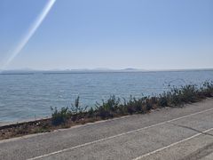 -贡湖湾湿地公园