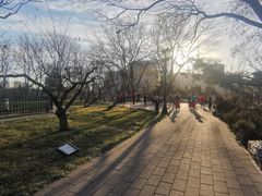 -玲珑塔公园