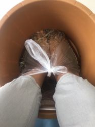 -派恩宜灰指甲鸡眼嵌甲手足癣