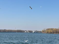 -丁香湖公园