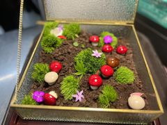 -院里寻菜·精致庭院菜(观沙岭店)