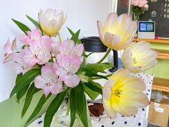 -三花屋 Mihhanaya