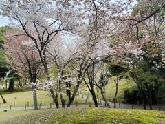 -水前寺成趣园