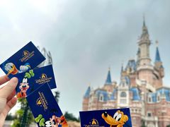 -上海迪士尼度假区