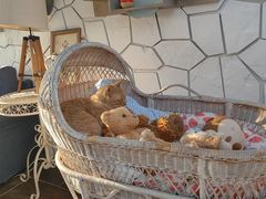 -Vanillacafe香草咖啡(银海大世界店)