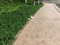 -中国农业博物馆