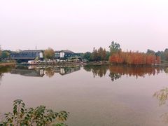 -白鹭湾湿地公园