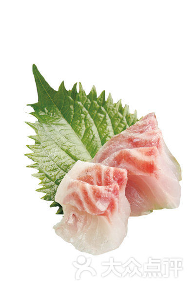 加吉鱼刺身
