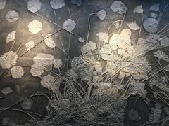 -辽宁古生物博物馆
