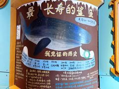 -海合安武汉极地海洋公园