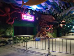 关门-青岛嘉年华主题乐园