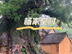 -杨家堂村