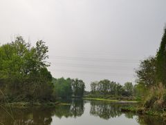 -桤木河湿地公园