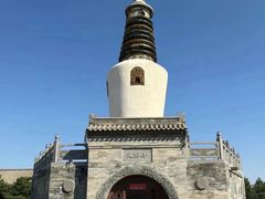 -东方削面(迎泽街店)