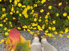 -汉长安城未央宫国家考古遗址公园