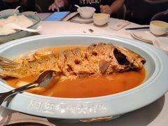 -阿五黄河大鲤鱼(英协路店)