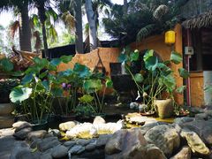 -园林美食城·本土农家菜(杨和镇店)