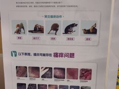 -瑞派康怡24h宠物医院·犬猫医疗中心·微创绝育(瑞景分院)