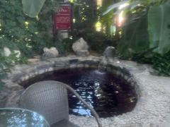 -中家鑫园温泉酒店鑫悦汤泉