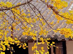 -金堂县云顶石城风景区
