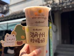 -猫的魔法密林(衣裳街店)