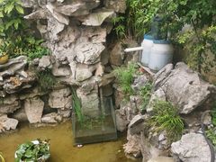 -美味之家·湖景农家乐(太湖东山店)