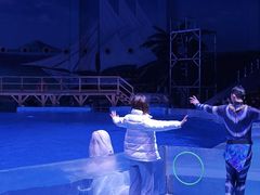 -海合安武汉极地海洋公园