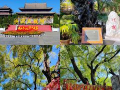 -大槐树寻根祭祖园