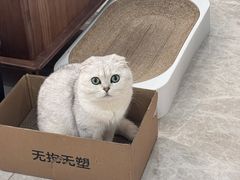 -半岛宠物医院24小时(白果林店)