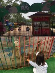 -萌宠亲子动物乐园(槐房万达店)