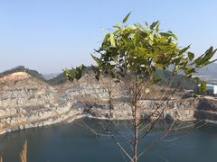 -黄埔油麻山森林公园
