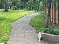 -秀水公园