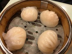 虾饺-点点心点心专门店(湾仔店)