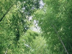 -苏州环秀晓筑养生度假村