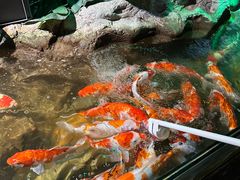 -太平洋海底世界