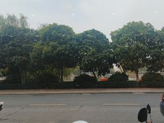 -金隆兴(镜湖店)