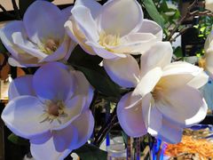 -欢乐牧场海鲜烤肉自助(牡丹园店)