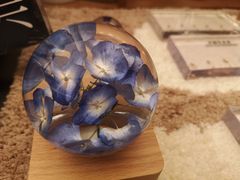 -二酉书店TOYOU BOOKS