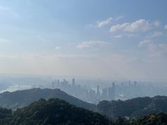 -大金鹰园