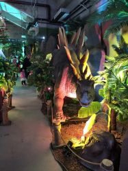 点击看大图 -恐龙探索乐园(磁器口店)