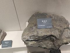 -安徽省地质博物馆