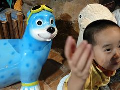 -萌宠奇缘(荣鼎店)